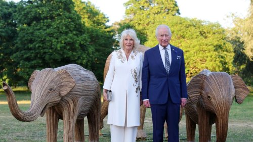La reine Camilla présente le nouveau membre de la famille royale, Moley, un adorable chiot