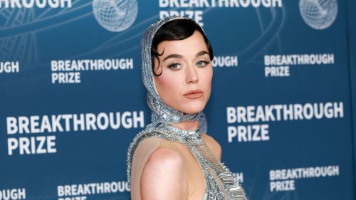 Katy Perry est fatiguée d'être la «Piñata humaine» d'Internet