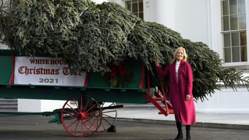 Joe et Jill Biden dévoilent leur sapin de Noël et un détail attire l'attention des internautes