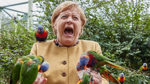 L’histoire derrière la photo folle d’Angela Merkel au zoo, qui a fait le tour des réseaux sociaux