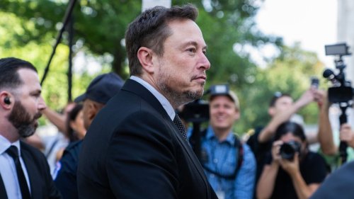 Elon Musk a failli se prénommer « Nice », ville où il a été conçu