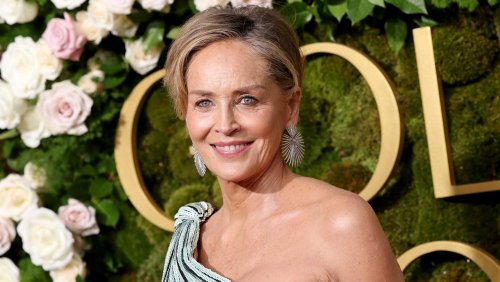 Sharon Stone Claims She Was ‘Cast and Removed Unexpectedly’ From ‘Another Simple Favor’