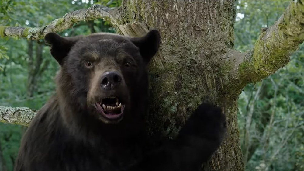 ‘Cocaine Bear’ Trailer: Drug-Fueled Animal Goes on Murderous Rampage in Real-Life Thriller