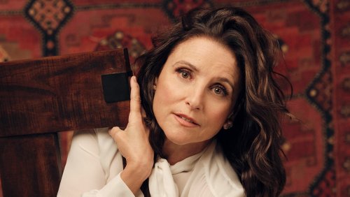 After 'Veep' and 'Seinfeld,' Julia Louis-Dreyfus is finally ready to be a movie star