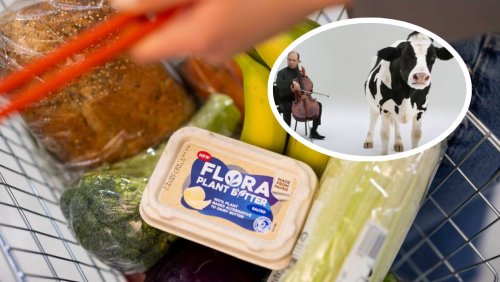 Flora brands dairy 'a bit weird' as it launches innovative new sustainable vegan products
