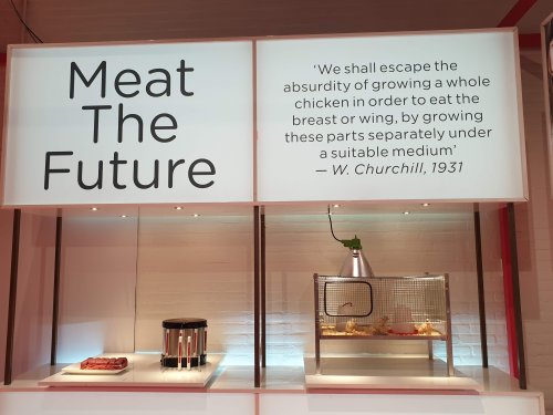 Meat the Future – a report from the Alternative Protein and Dairy Show in Amsterdam