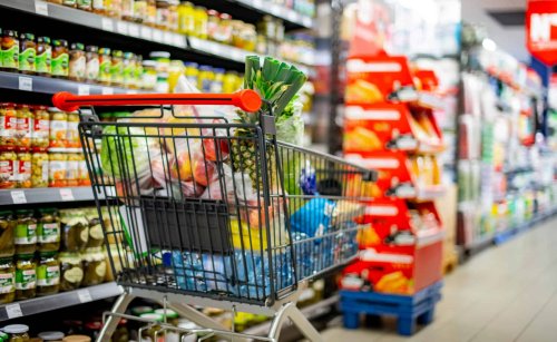 Protein Monitor Niederlande: Mehr pflanzliche Produkte im Handel, Konsum bleibt hinter Erwartungen zurück