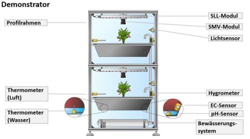 TH Köln: KI-Beleuchtungssystem für effizientes Vertical Indoor-Farming