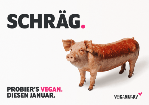 Internationale Erfolge: Veganuary-CEO blickt auf ihre letzte Kampagne zurück