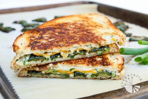 Jalapeno Popper Herb Grilled Cheese