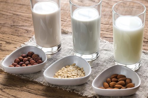 How to Make Plant-Based "Milks"