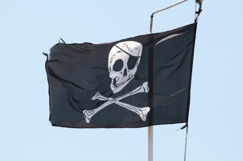 Pirate Bay launches Mobile Bay so you can browse torrents on your smartphone