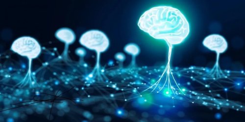 How NLP is turbocharging business intelligence