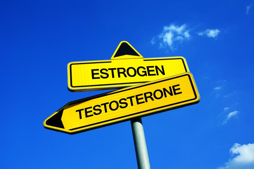 TESTOSTERONE FOR WOMEN - cover