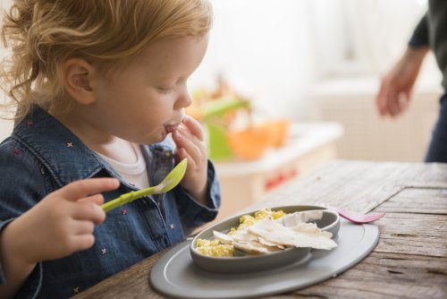 The 10 Best Toddler Plates and Bowls