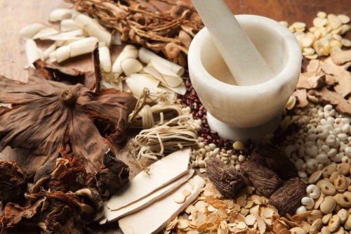 A Beginner’s Guide to Traditional Chinese Medicine