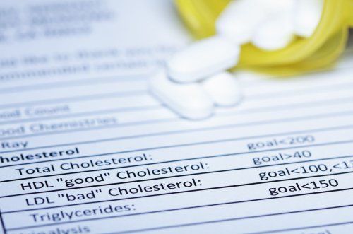 What Causes High Cholesterol?