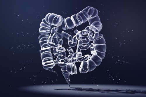 This Low cost Cologuard Alternative Is Just As Effective At Colorectal 