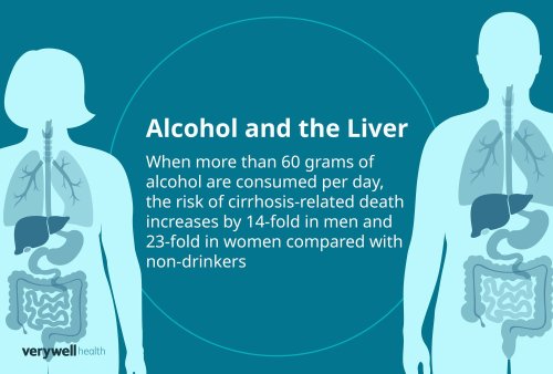 Alcohol and Liver Effects: What’s Reversible vs. Permanent?