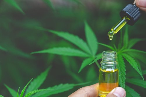 Marijuana and CBD May Cause Adverse Drug Interactions, Research Shows