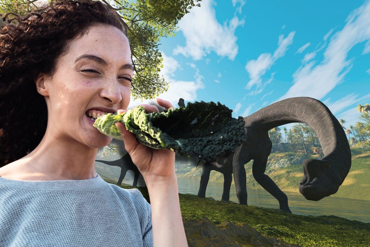 Will the ‘Dinosaur Time’ Trend Actually Improve Your Health?