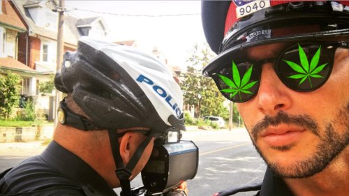 Toronto Cops in Big Trouble for Eating Weed Edibles, Calling Backup on Themselves