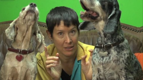 This Crazy Lady Has Made An Album Only Dogs Can Hear