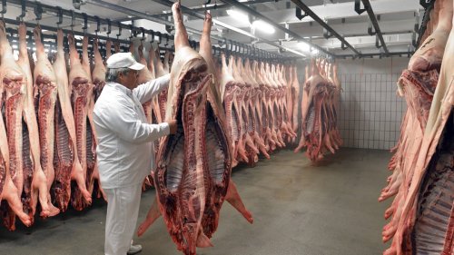 Tönnies: Alle Gründe, warum die Fleischindustrie so kaputt ist