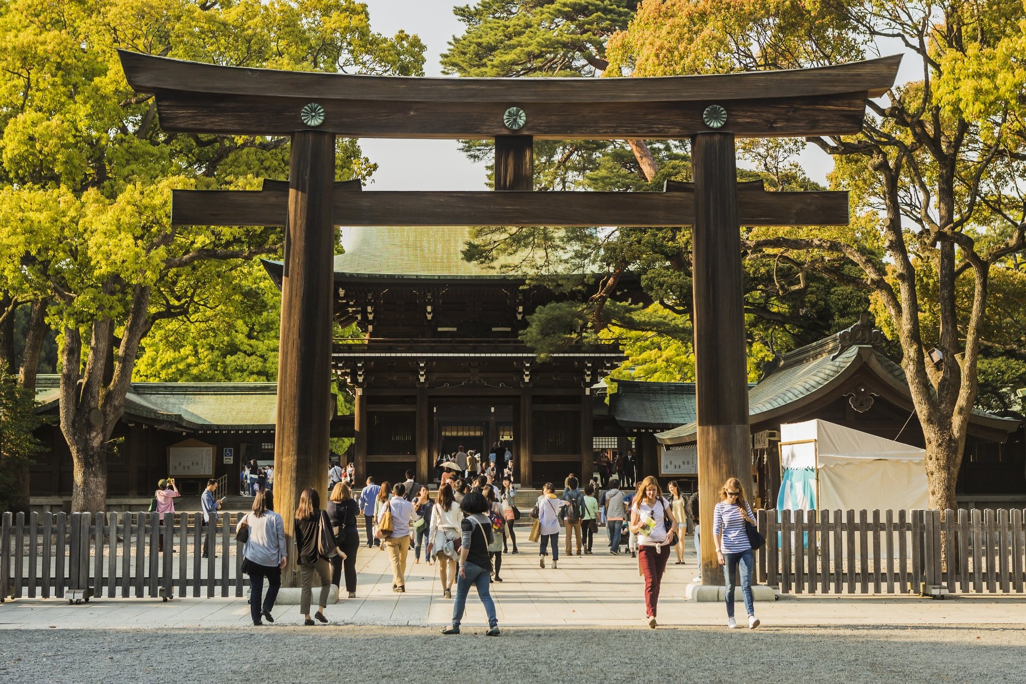 American Tourist Arrested for Vandalizing Japanese Shrine (Like an Idiot)