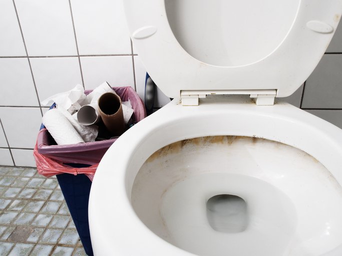 How Nasty Is it to Never Clean Your Toilet?