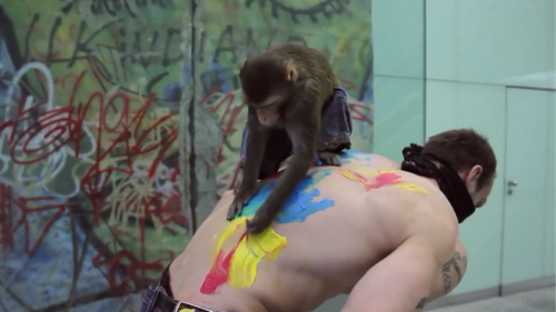 A Man Let a Monkey Design His Back Tattoo