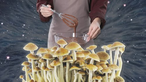 Magic Mushroom Edibles: Everything to Know, from Drops to Chocolates