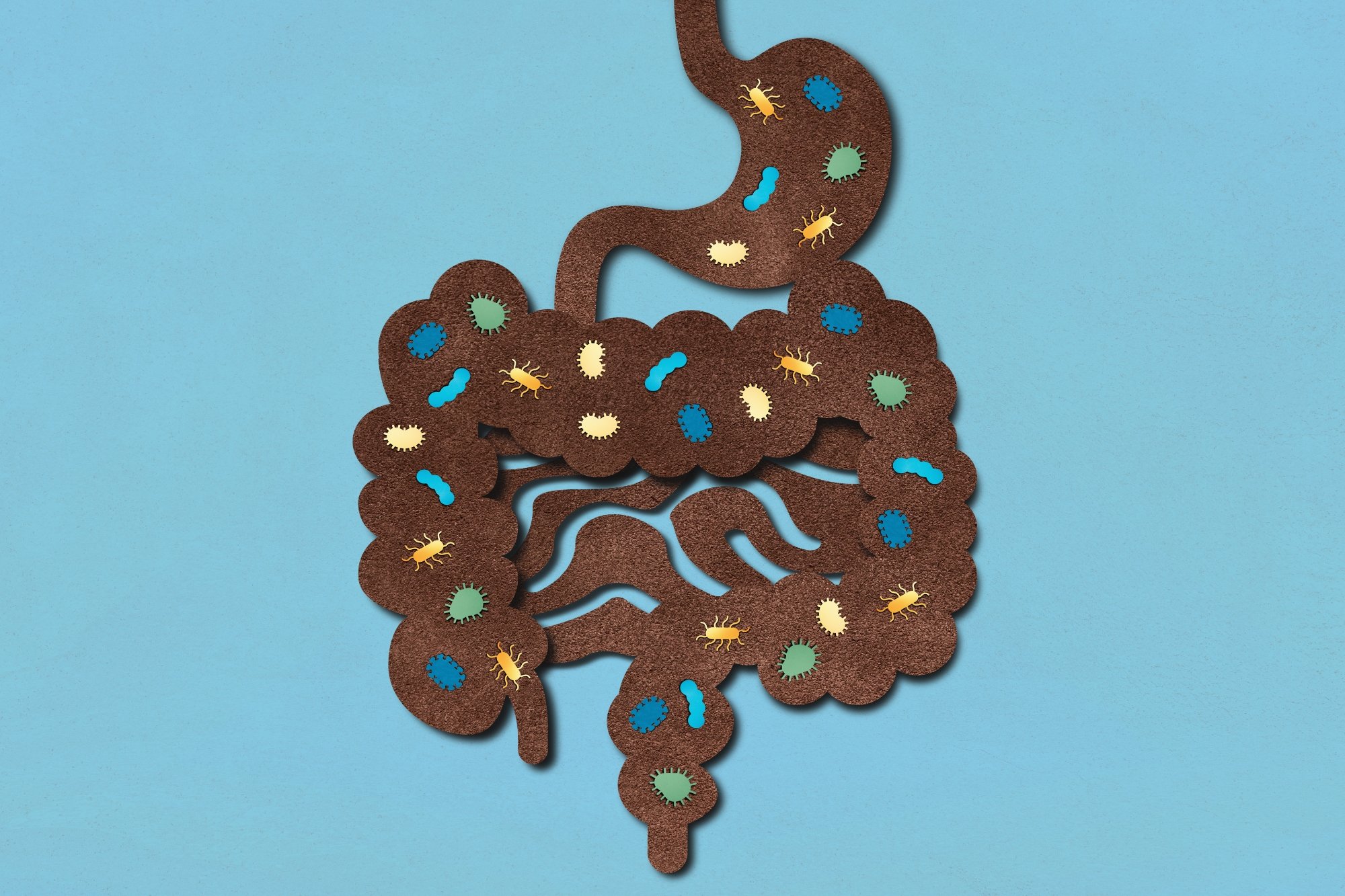 Your Gut Microbiome Might Be Ruining Your Health. Here's How to Fix It.