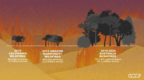 Here Are Some Illustrations That Show Just How Bad Australia’s Bushfires Are