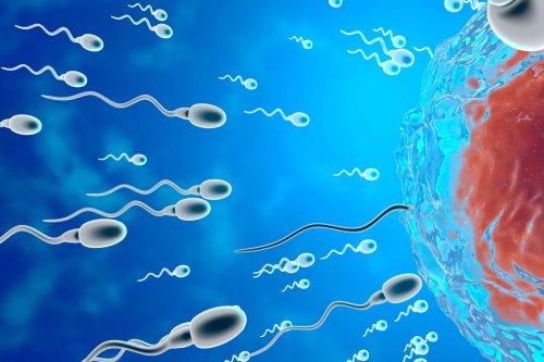 Millionaires Are Hosting Sperm Races—With Spectators and Betting Slips