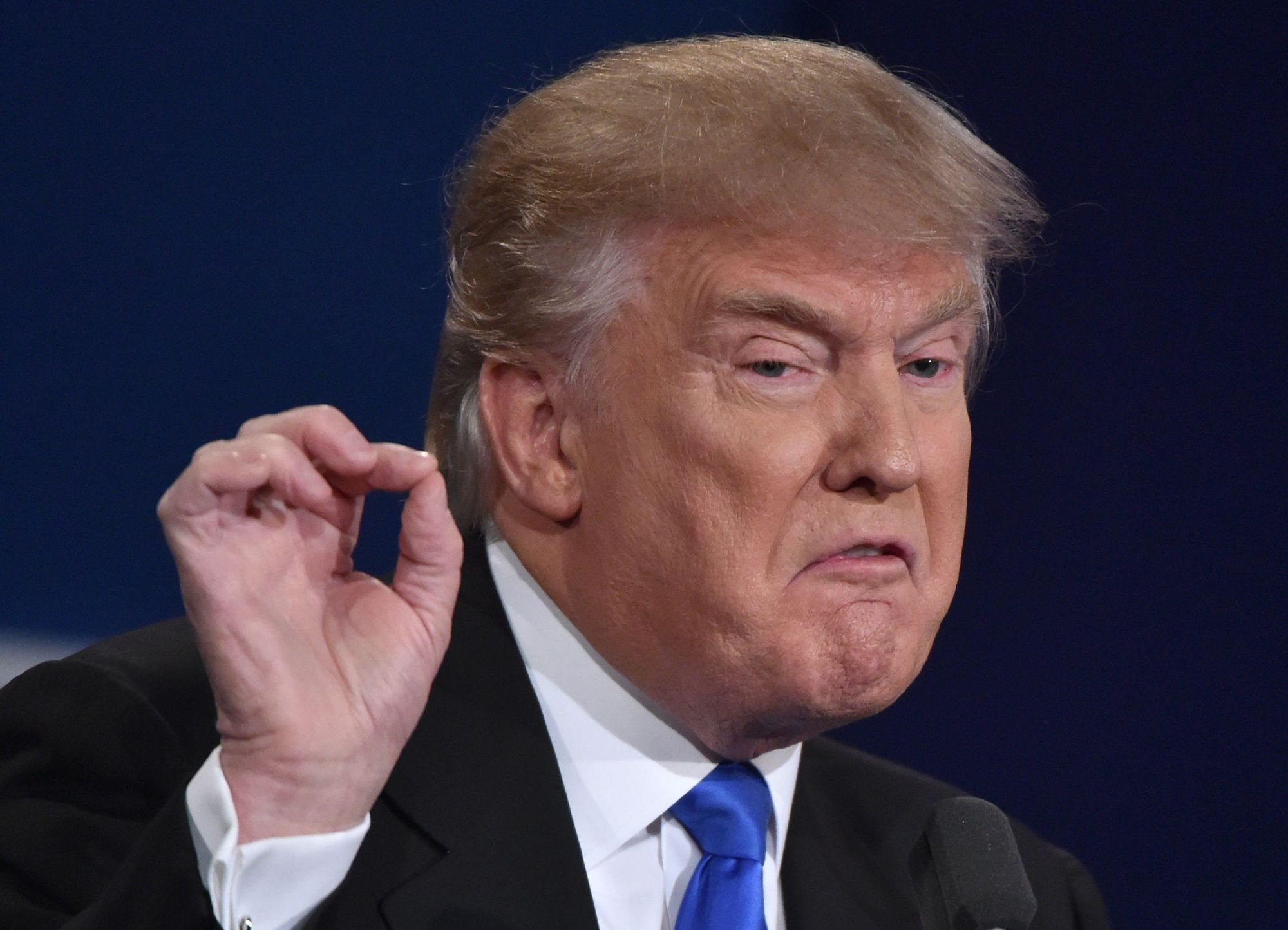 Trump Shite Show Goes On and On cover image