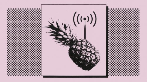How a Wi-Fi Pineapple Can Steal Your Data (And How to Protect Yourself From It)
