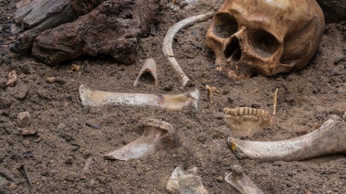 Quand les hommes préhistoriques utilisaient des os comme Tupperware