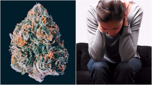 This Is Why Weed Makes Some People Anxious