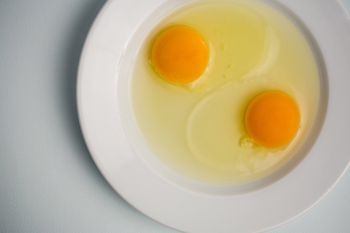 Woman Came to Interview as a Plate of Eggs. She Didn’t Get the Job.