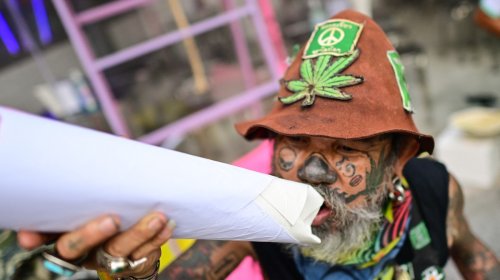 Thailand Is Handing Out 1 Million Free Cannabis Plants—But There’s a Catch