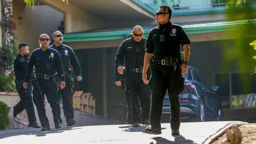 LAPD Emails Reveal Fallout of Citizen’s Botched Manhunt