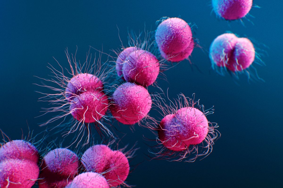There’s Finally a New Treatment for Drug-Resistant Gonorrhea