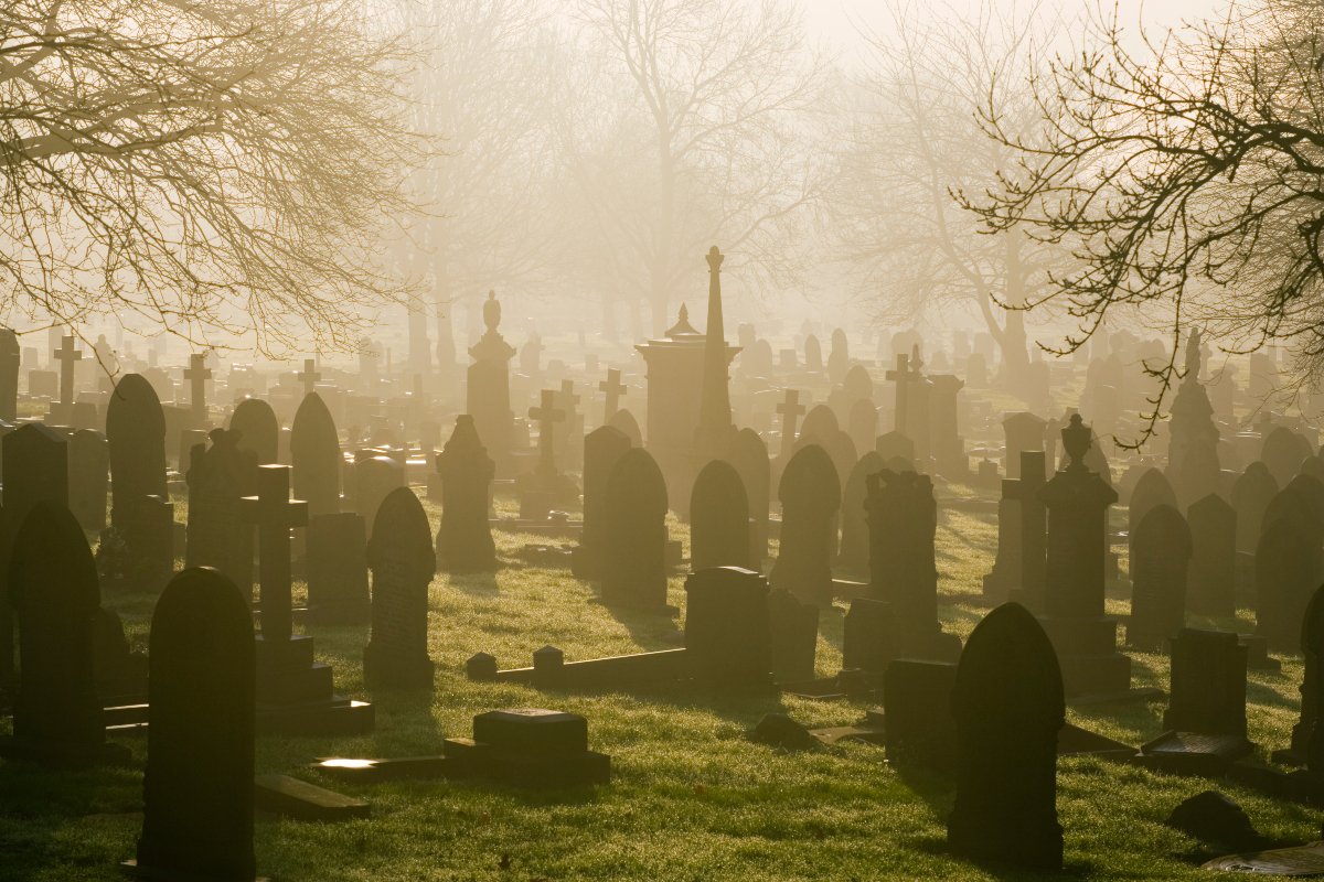Gravedigger Arrested for Removing Corpses and Reselling Their Burial Sites
