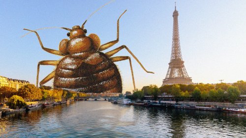 Are You Ready for the Bed Bug-pocalypse?