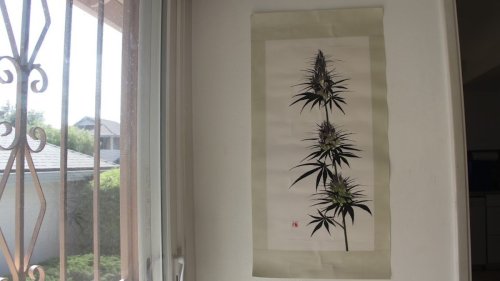 Traditional Chinese Paintings of Cannabis Aim to Change Perceptions About the Medicinal Plant
