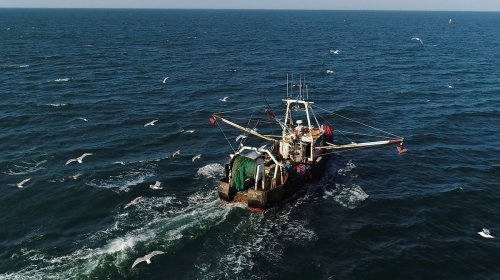 Docs Show Turmoil in Canadian Gov't Following Fisheries Harassment Investigations