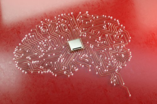 This Computer Runs on Human Brain Cells—and You Can Buy It for $35,000