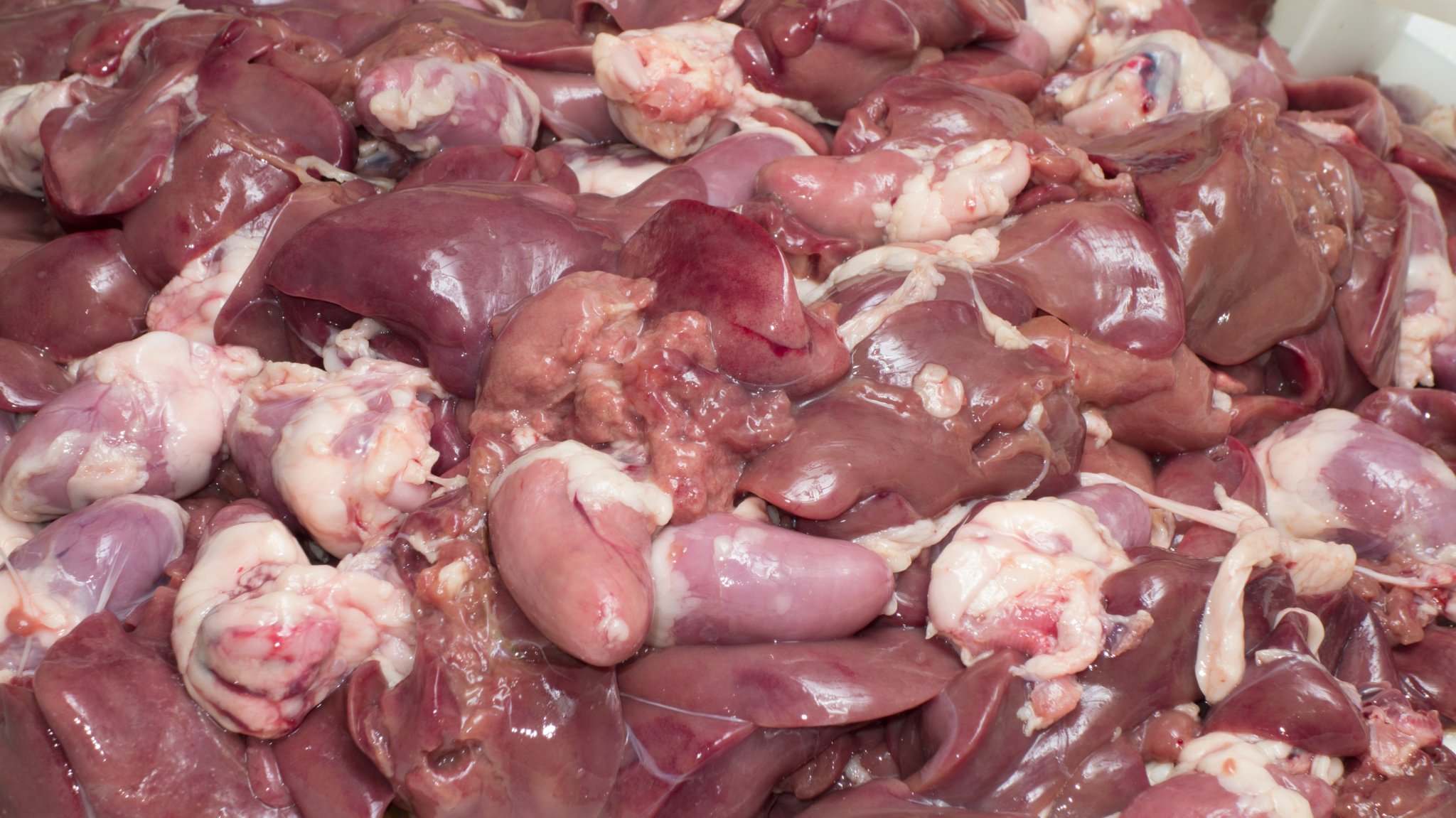 Why Are the Weirdest People Online Obsessed With Organ Meats?