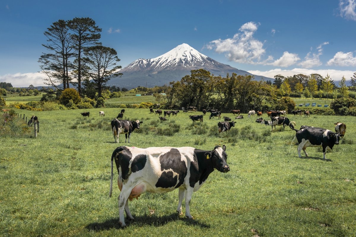 New Zealand’s Mount Taranaki Is Now Legally a Person